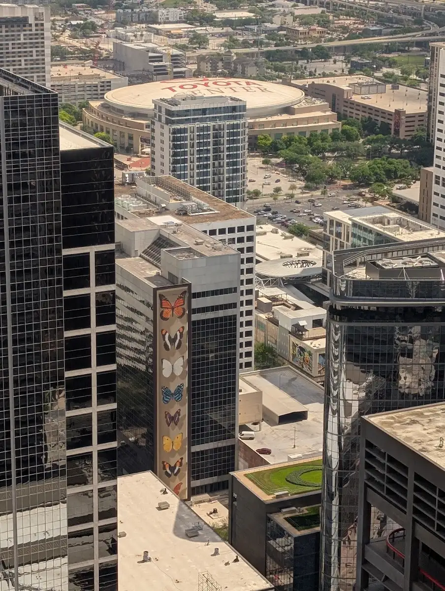 The Houston Club — photo 2