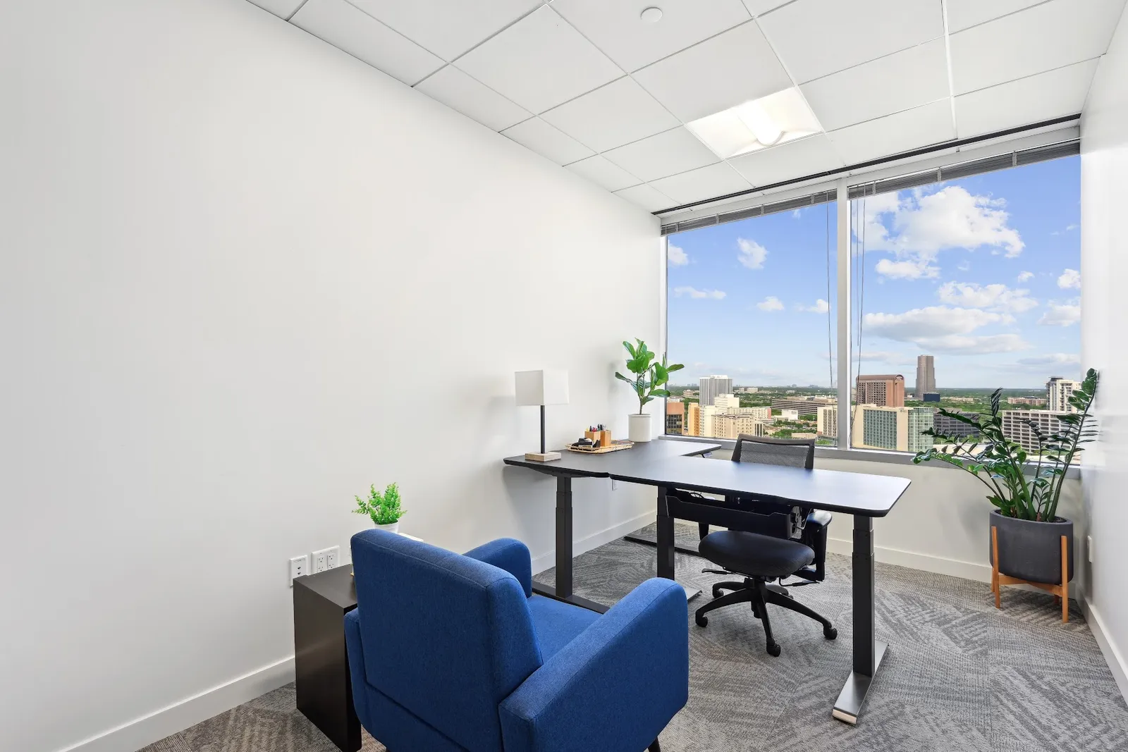 Common Desk - Post Oak — photo 2